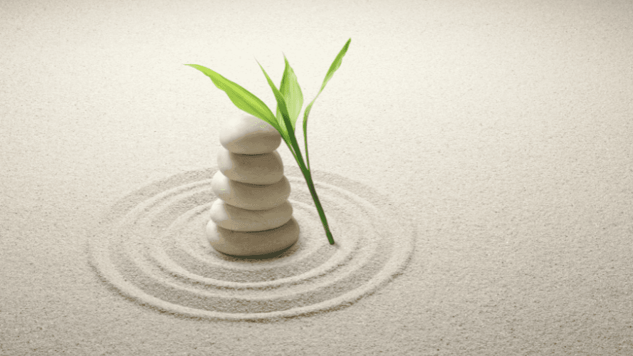 blog-image